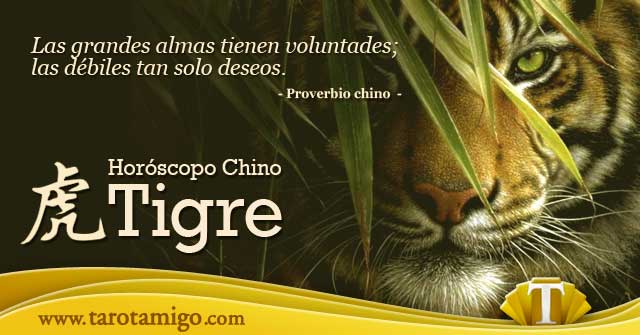 Horóscopo Chino Tigre Para Hoy Características Y Año De Nacimiento 6568